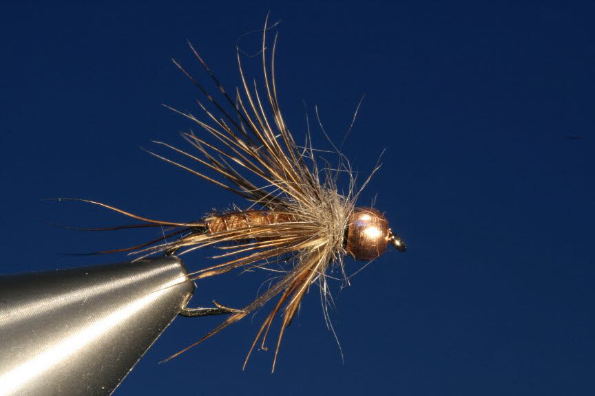 Pheasant Tail