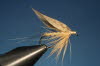 42. The Whirling Blue Dun
