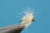 Cremefarbene Fliege