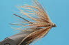 gro�e, spinnenartige Maifliege