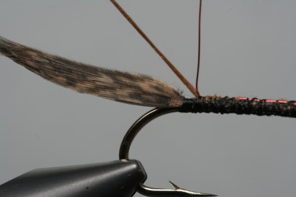 Polyfloss und Rippingsdraht