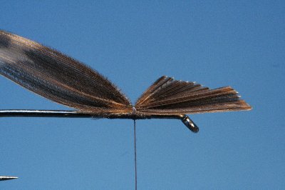 Schlaufe zusammenziehen