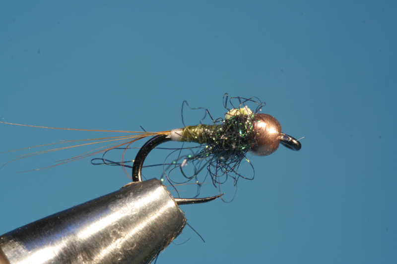 French Nymph - fertig