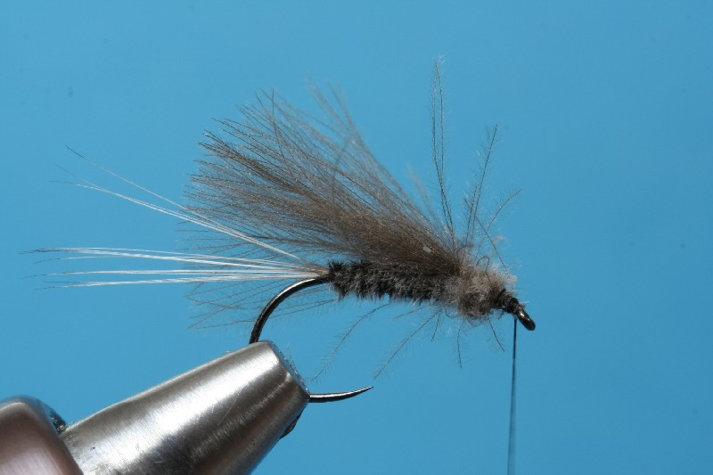 Thorax binden