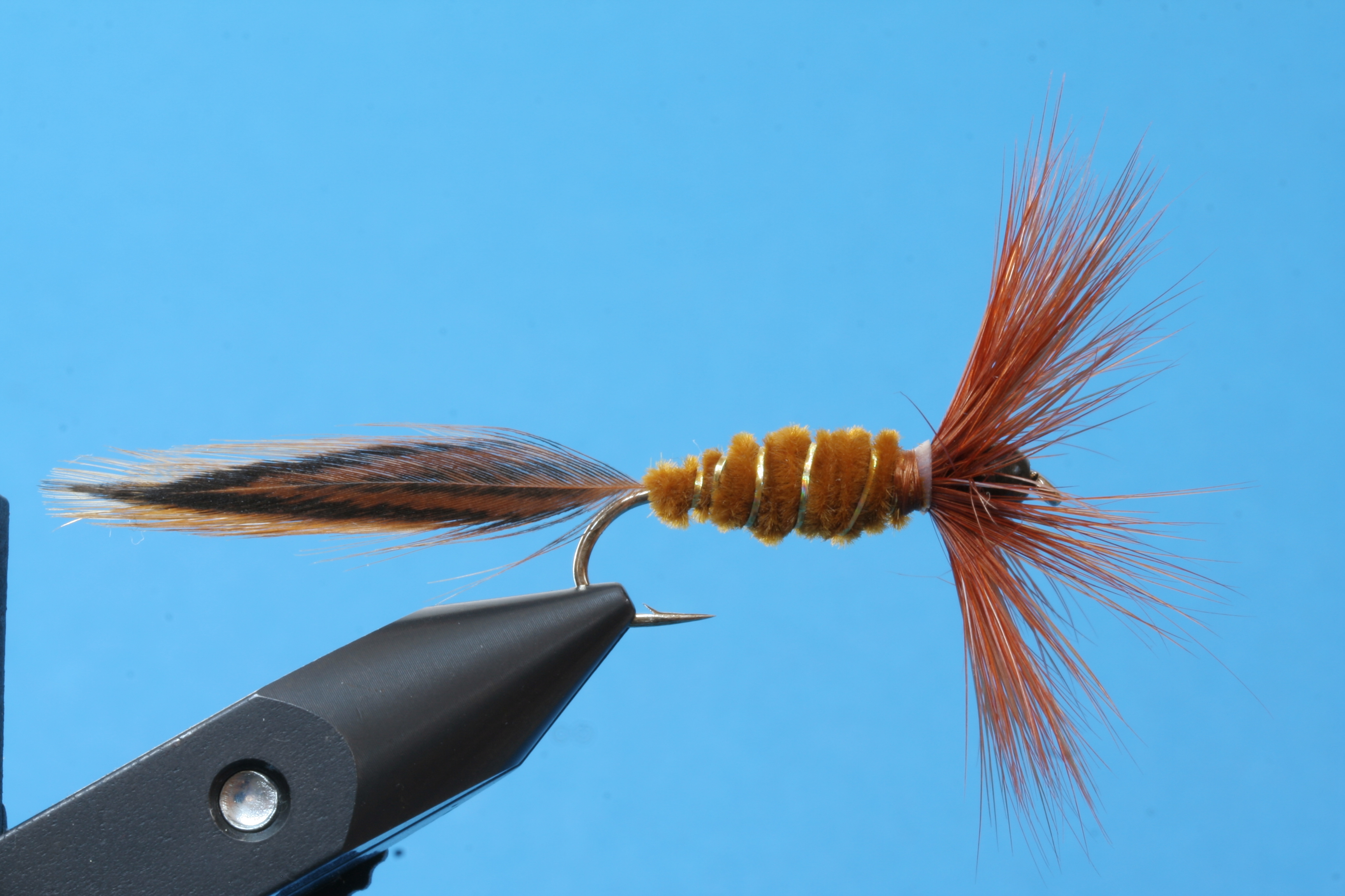 Fertige braune Medusa