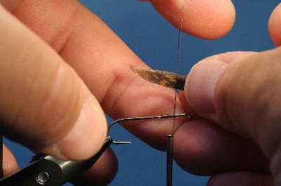 Fl�gel in Schlaufe einlegen