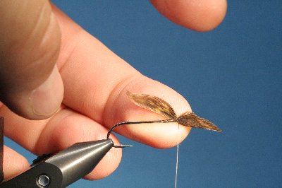 Fl�gel ist fixiert