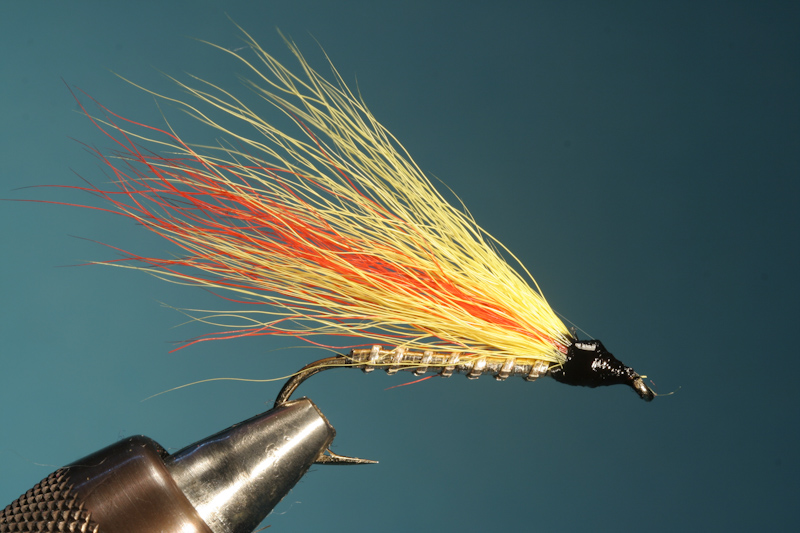 Mickey Finn
