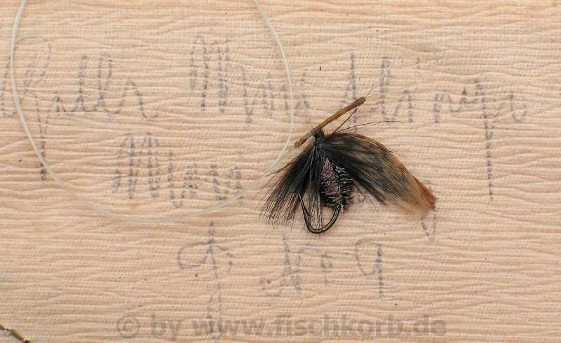 old_fly_vogt_02