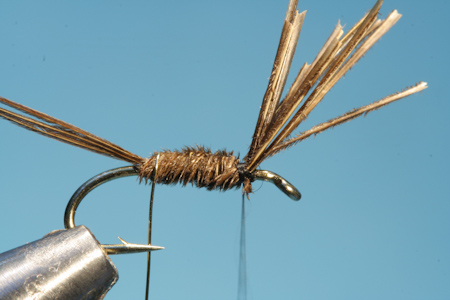 Fiberk�rper binden